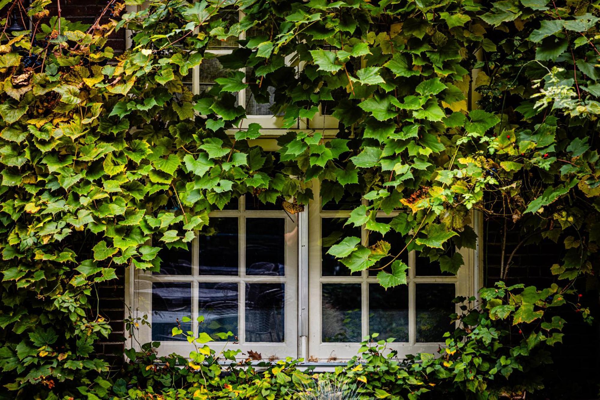 Kasteel Kerckebosch Hotel Zeist Exterior photo